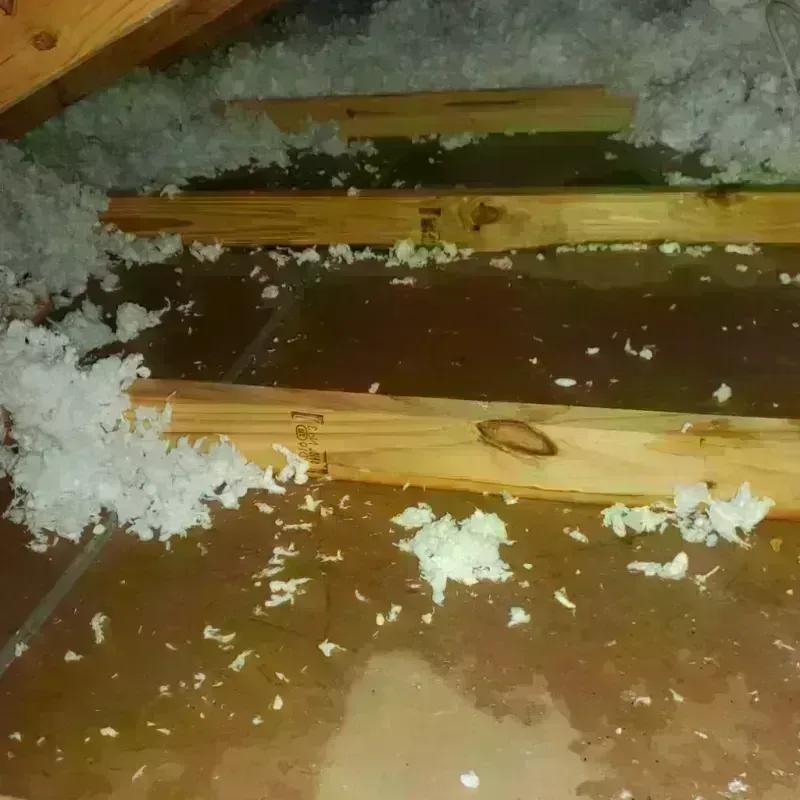 Attic Water Damage in Alamo, NV