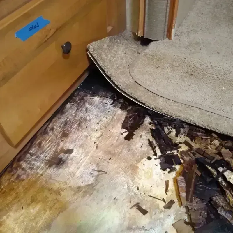 Wood Floor Water Damage in Alamo, NV